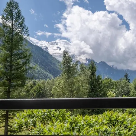 Spacious Nest Overlooking The Mont Blanc Range * Chamonix