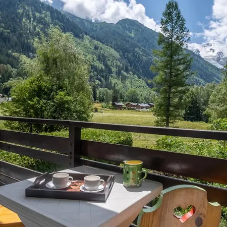 Spacious Nest Overlooking The Mont Blanc Range Apartment *
